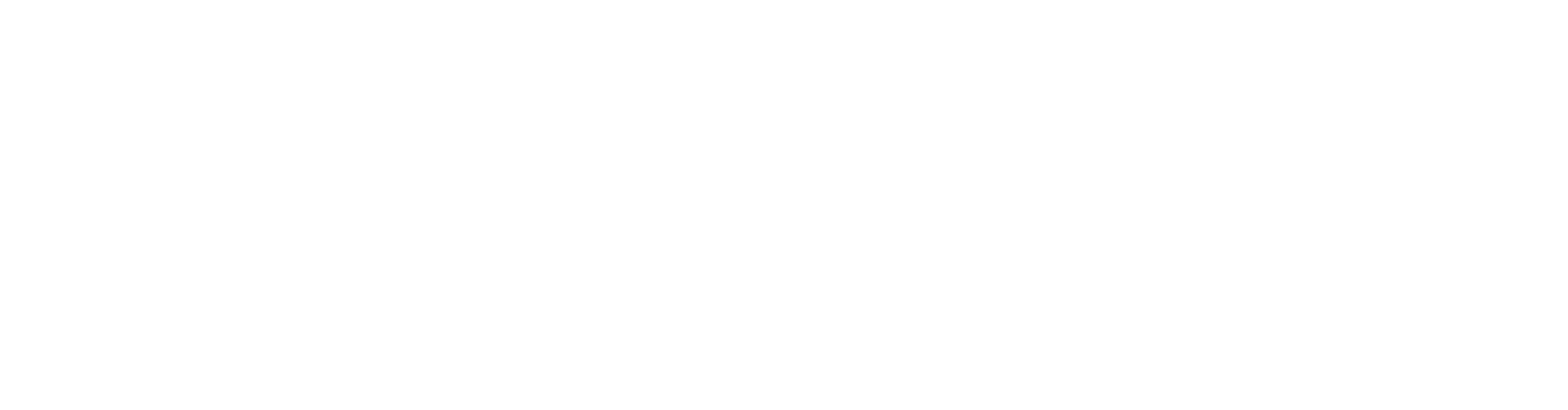 Salinas Consultores